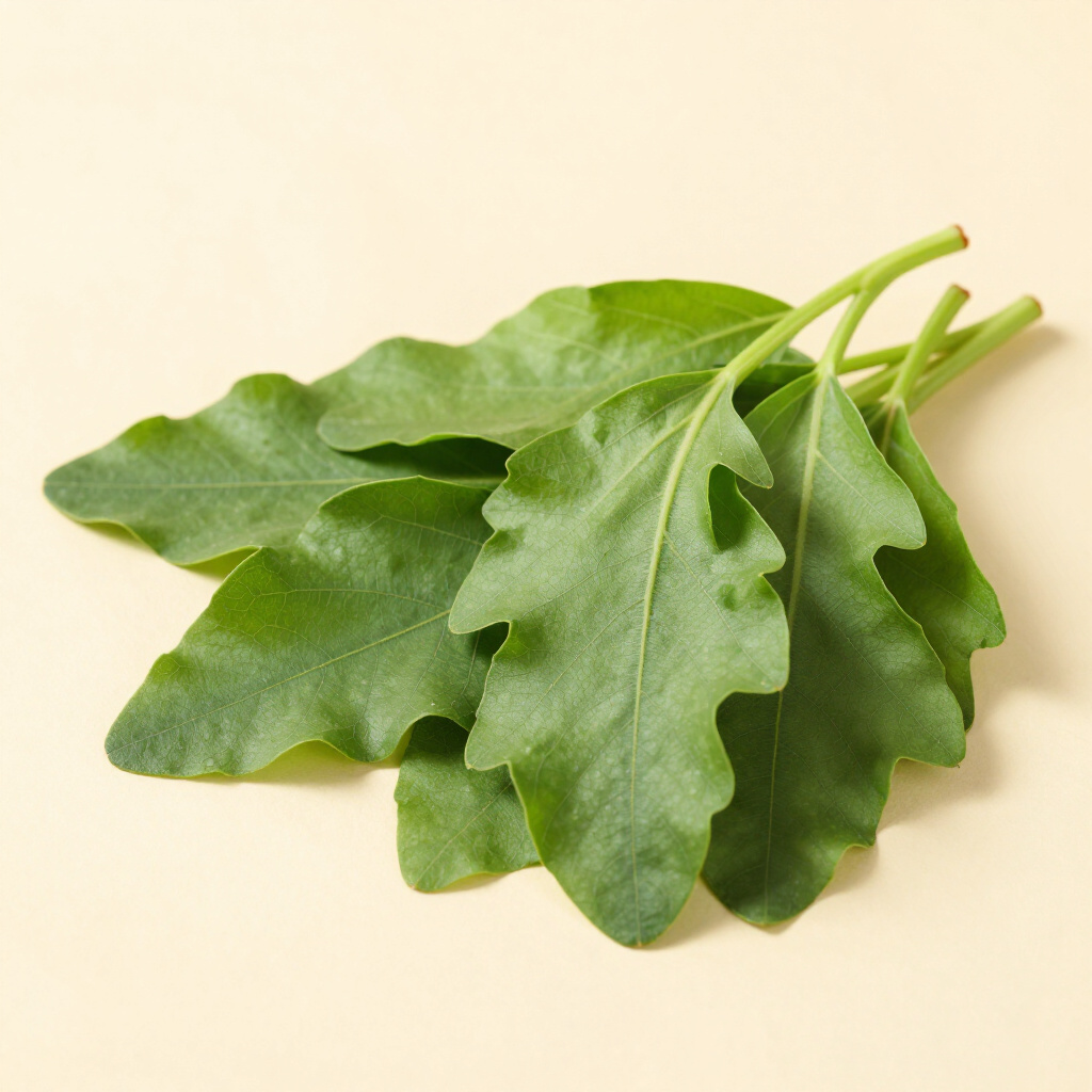 Fenugreek Leaves (Methi Patta) — Export Quality from India